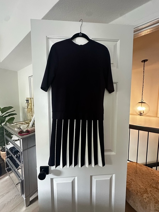 Ted Baker Dresses & Skirts - Ted Baker Navy and White Pleated Hem Dress